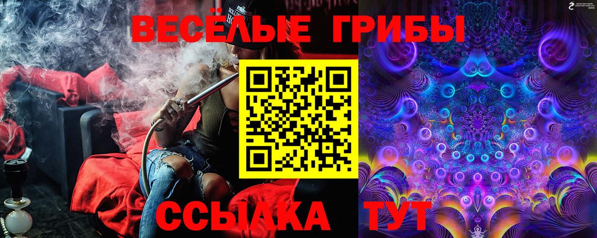 Псилоцибиновые грибы Cubensis Казань