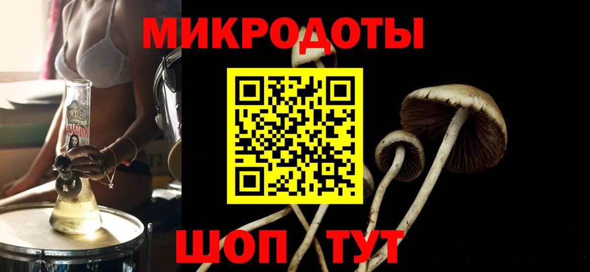 Псилоцибиновые грибы мухоморы  Вход с VPN  Псилоцибиновые грибы GOLDEN TEACHER  Казань 